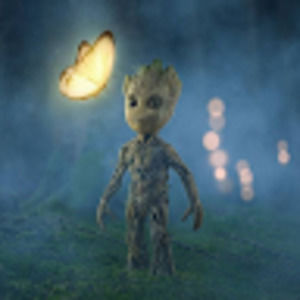 Meet your Posher, Rylee